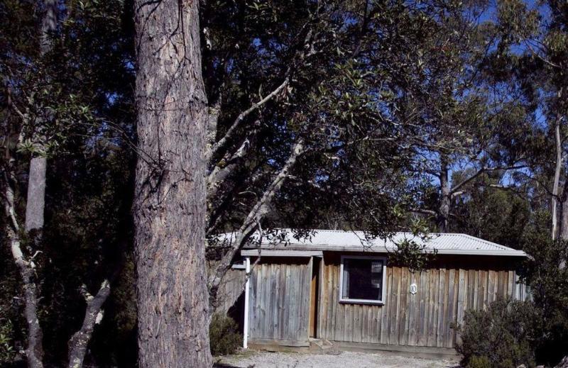 Discovery Parks - Cradle Mountain Accommodation Exterior foto